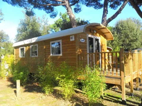 Camping - La Flotte - Poitou-Charentes - La Grainetière
