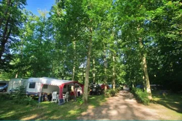 Camping - Candé-sur-Beuvron - Grand Centre - La Grande Tortue