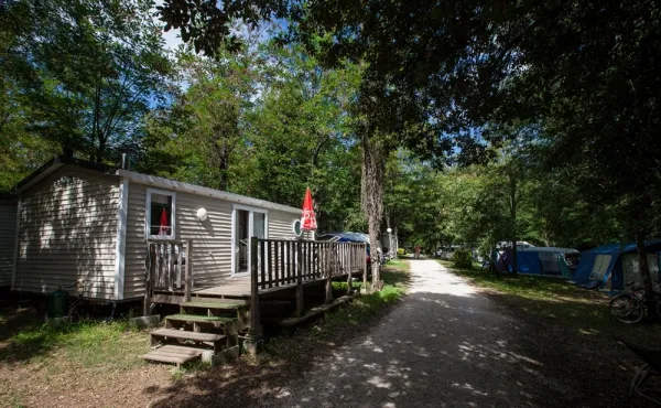 Camping - Ruoms - Rhône-Alpes - La Grand'Terre