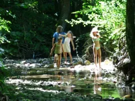 Camping - Montrigaud - Rhône-Alpes - La Grivelière
