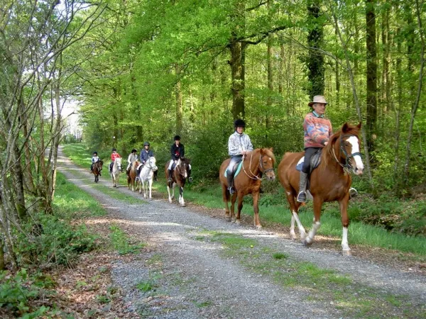 Camping - Mervent - Pays de Loire - La Joletière