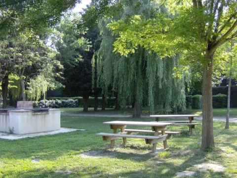 Camping - Villeneuve-lès-Avignon - Languedoc-Roussillon - La Laune