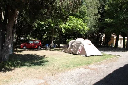 Camping - Villeneuve-lès-Avignon - Languedoc-Roussillon - La Laune