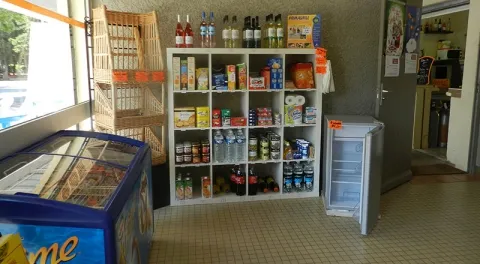 Camping - Villeneuve-lès-Avignon - Languedoc-Roussillon - La Laune