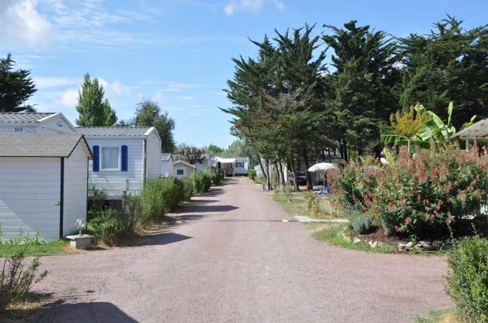Camping - Saint-Georges-d'Oléron - Poitou-Charentes - La Maurie
