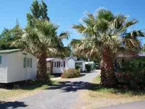 Camping - Agde - Languedoc-Roussillon - La Mer