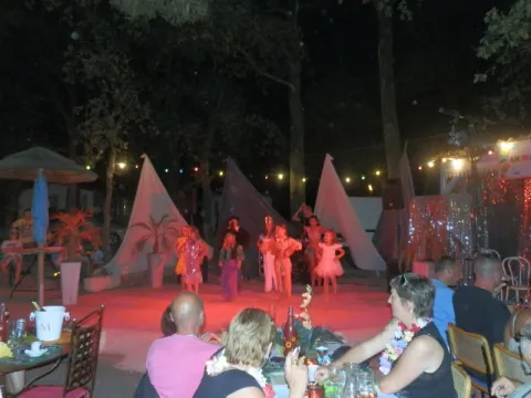 Camping - Sorgues - Provence-Alpes-Côte d'Azur - La Montagne