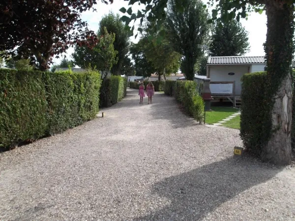 Camping - Quend - Picardie - La Motte