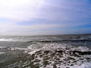 Camping - Saint-Vincent-sur-Jard - Pays de Loire - La Mouette Cendrée