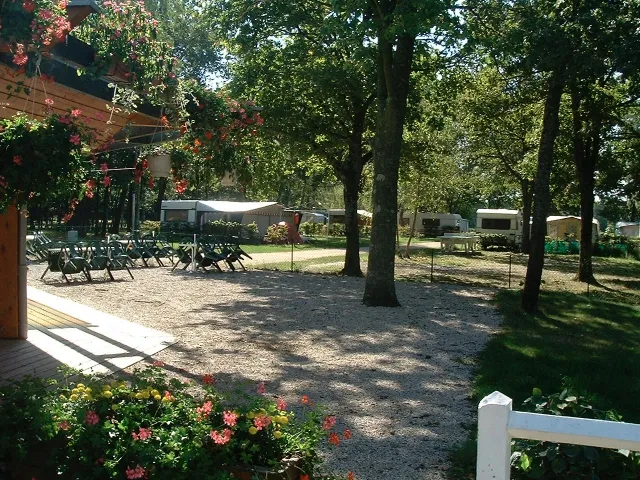 Camping - Saint-Nizier-le-Désert - Rhône-Alpes - La Nizière