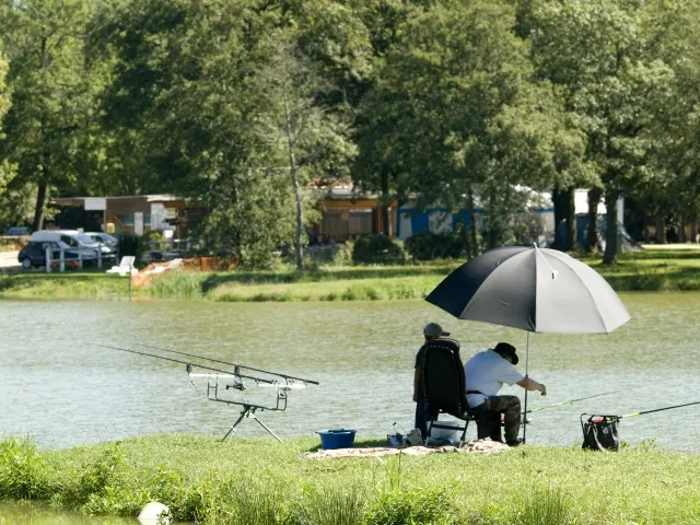 Camping - Saint-Nizier-le-Désert - Rhône-Alpes - La Nizière