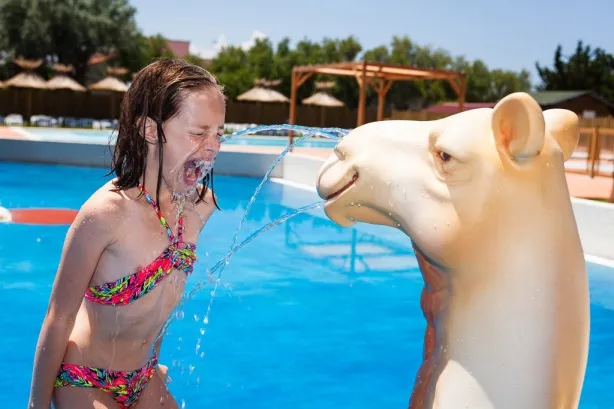 Camping - Torreilles - Languedoc-Roussillon - La Palmeraie
