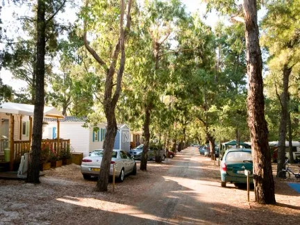 Camping - La Londe-les-Maures - Provence-Alpes-Côte d'Azur - La Pascalinette