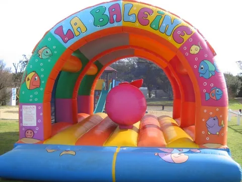Camping - Saint-Pierre-d'Oléron - Poitou-Charentes - la Perroche Plage