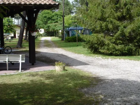 Camping - Lège Cap Ferret - Aquitaine - La Pinède