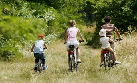Camping - Vallon-Pont-d'Arc - Rhône-Alpes - La Plage Fleurie