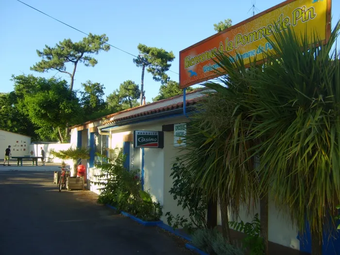 Camping - Jard-sur-Mer - Pays de Loire - La Pomme de Pin