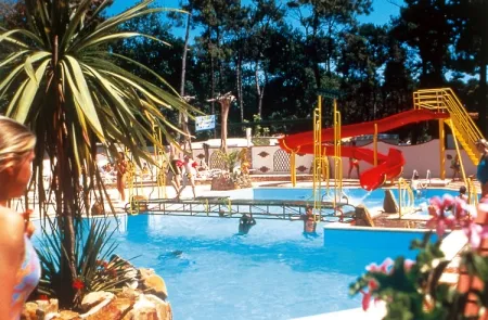 Camping - Jard-sur-Mer - Pays de Loire - La Pomme de Pin