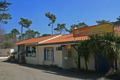 Camping - Jard-sur-Mer - Pays de Loire - La Pomme de Pin