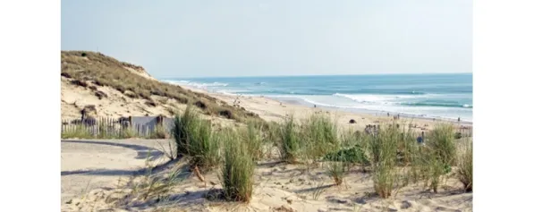Camping - Carcans - Aquitaine - La Prairie