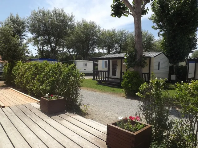 Camping - Notre-Dame-de-Monts - Pays de Loire - La Rive