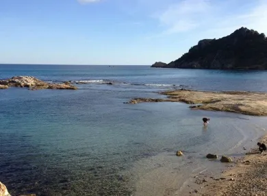 Camping - Ramatuelle - Provence-Alpes-Côte d'Azur - La Rouillère