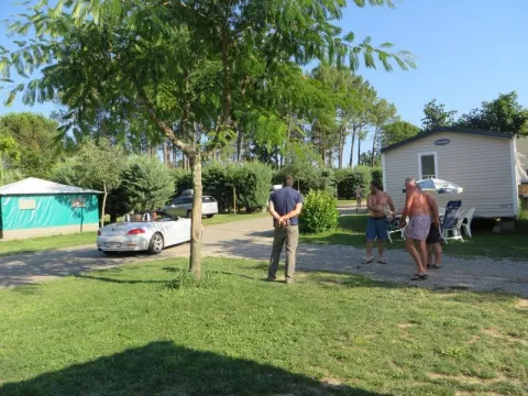 Camping - Vagnas - Rhône-Alpes - La Rouvière les Pins