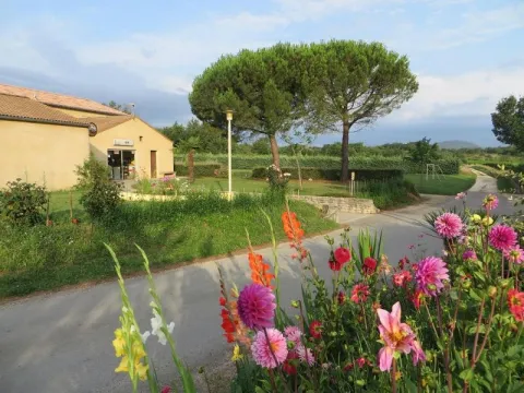 Camping - Vagnas - Rhône-Alpes - La Rouvière les Pins