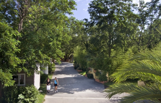 Camping - Argelès-sur-Mer - Languedoc-Roussillon - La Sirène - Image #13