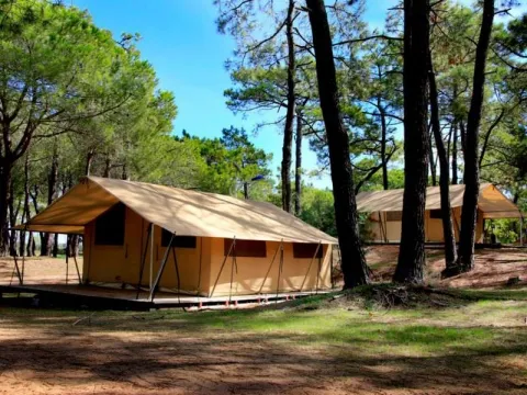 Camping la Tama