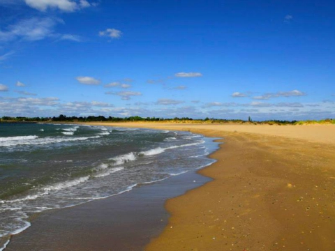 Camping - Agde - Languedoc-Roussillon - la Tama - Image #1