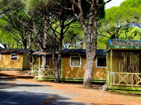 Camping - Agde - Languedoc-Roussillon - la Tama - Image #5