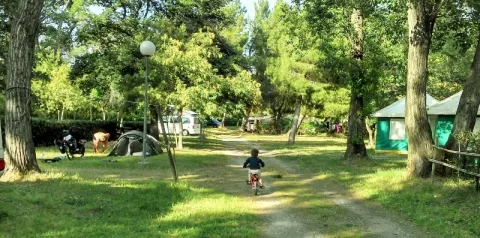 Camping - Latour-de-France - Languedoc-Roussillon - La Tour de France