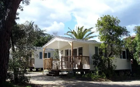 Camping - Cavalaire-sur-Mer - Provence-Alpes-Côte d'Azur - La Treille