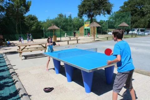 Camping - Brétignolles-sur-Mer - Pays de Loire - La Trévillière