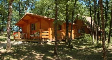 Camping - Saint-Cirq-Lapopie - Midi-Pyrénées - La Truffière