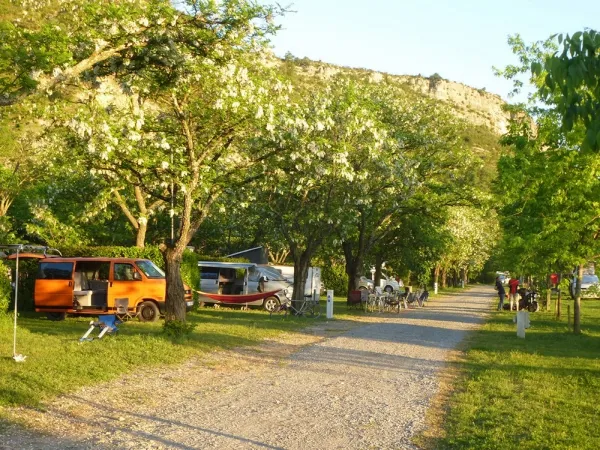 Camping - Uzer - Rhône-Alpes - Village Nature Zen