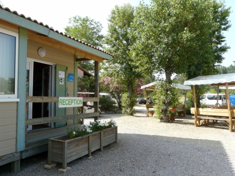 Camping - Saint-Jean-Pla-de-Corts - Languedoc-Roussillon - La Vallée - Image #4