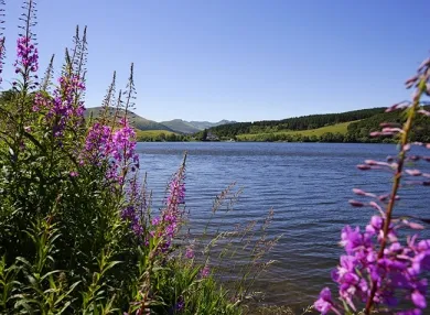 Camping - Saint-Nectaire - Auvergne - La Vallée Verte
