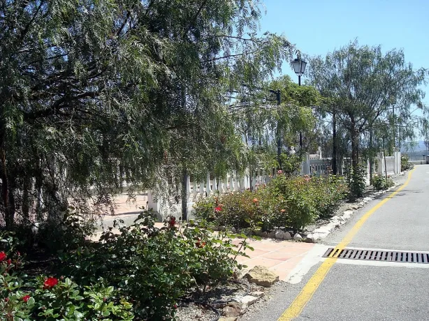 Camping - Málaga - Andalousie - La Viñuela
