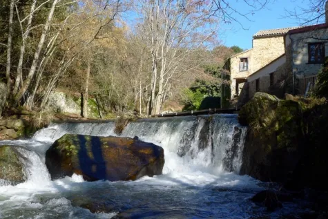 Camping - Montloué - Languedoc-Roussillon - La Vitarelle
