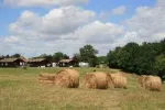 Camping - Paulhiac - Aquitaine - Laborde - Domaine Naturiste