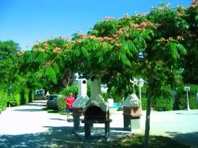Camping - Saint-Nazaire-sur-Charente - Poitou-Charentes - L'Abri-Côtier