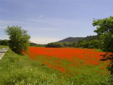 Camping - Villelaure - Provence-Alpes-Côte d'Azur - L'Air du Temps