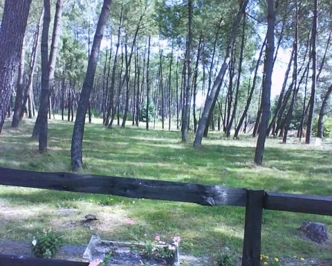 Camping - Garrosse - Aquitaine - L'Aire Naturelle La Réserve