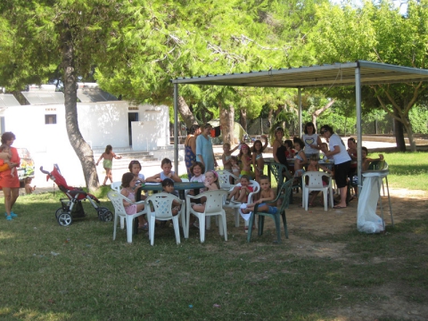 Camping - Gandie - Costa de Valencia - L'Alqueria - Image #2