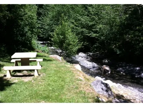 Camping - Gigors - Provence-Alpes-Côte d'Azur - l'Amandier