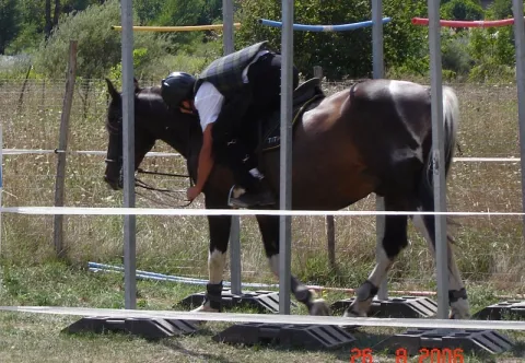 Camping - Touët-sur-Var - Provence-Alpes-Côte d'Azur - L'Amitié