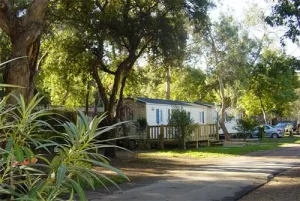 Camping - Mandelieu-la-Napoule - Provence-Alpes-Côte d'Azur - L'Argentière