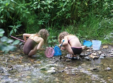Camping - La Bastide-de-Sérou - Midi-Pyrénées - L'Arize